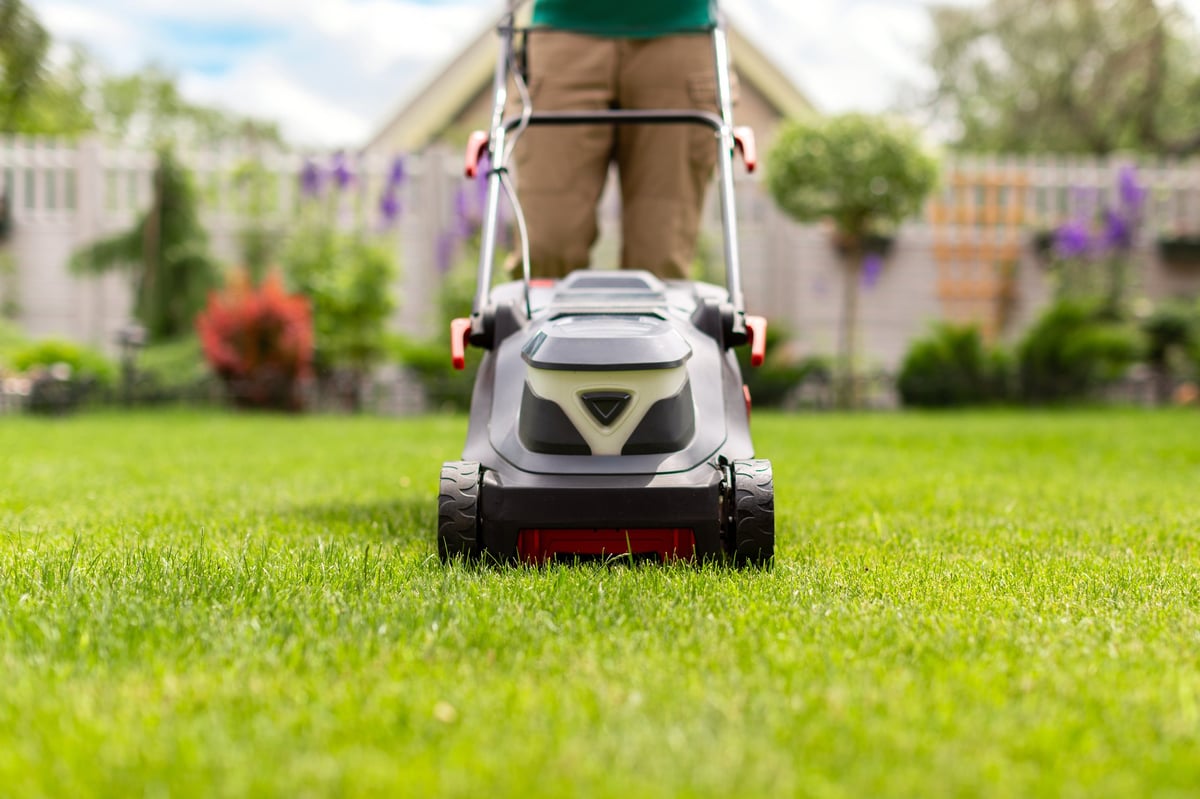 Professional lawn care equipment